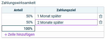 Der Abschnitt Zahlungswirksamkeit mit einer Beispielkonfiguration wird angezeigt.