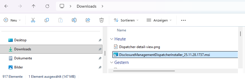 Die entpackte Zip-Datei wird angezeigt. Die Setup-Datei ist rot hervorgehoben.