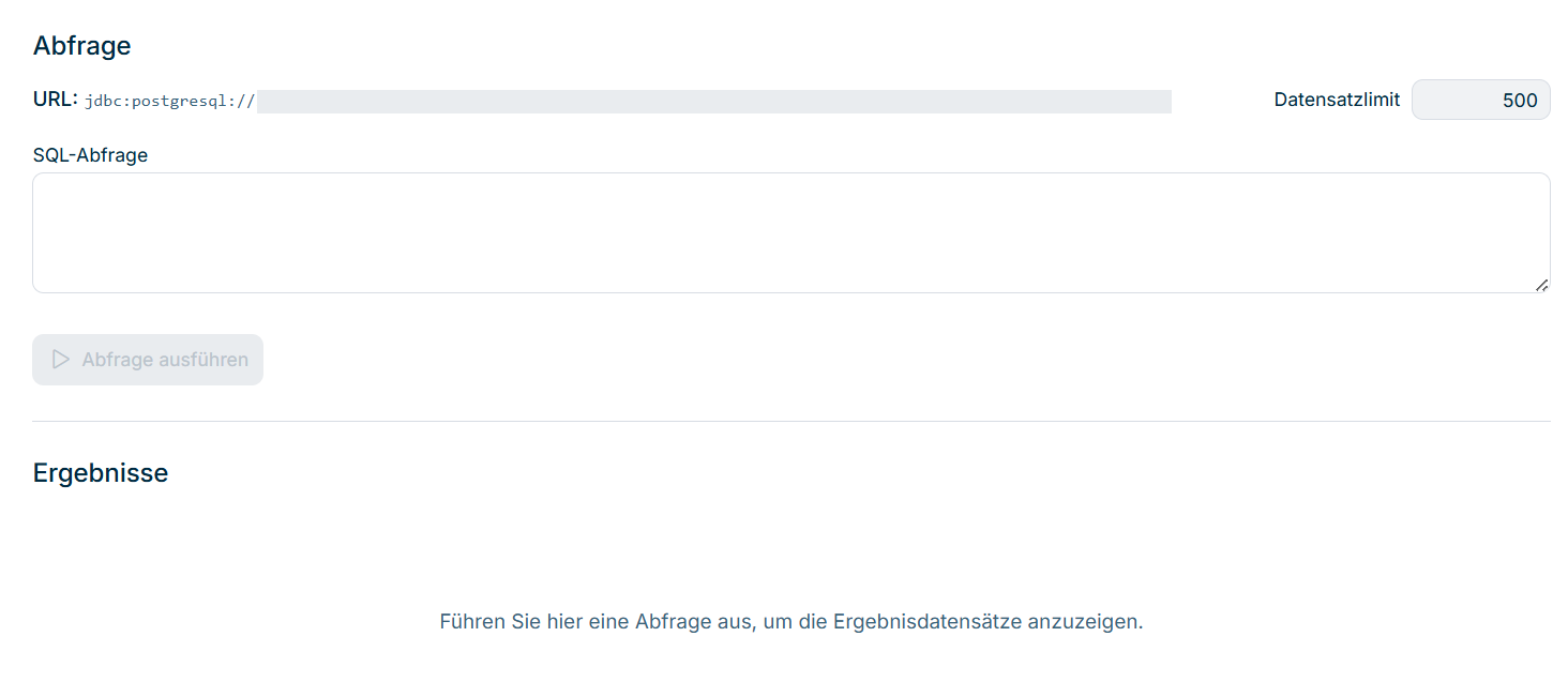 Zeigt das leere Abfragefenster der Funktion 'Datenbank analysieren' in Lucanet Consolidation & Financial Planning mit der Zeile 'URL', dem Feld 'Datensatzlimit' mit dem Wert 500, dem leeren Feld 'SQL-Abfrage' und der deaktivierten Schaltfläche 'Abfrage ausführen'. Im Bereich 'Ergebnisse' steht der Hinweis, dass hier eine Abfrage ausgeführt werden muss.