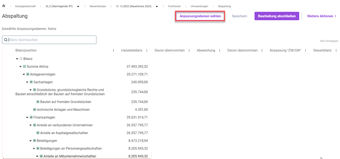 Shows the balance sheet tree that appears when you open a reorganization. The “Select adjustment levels” button is marked in red.