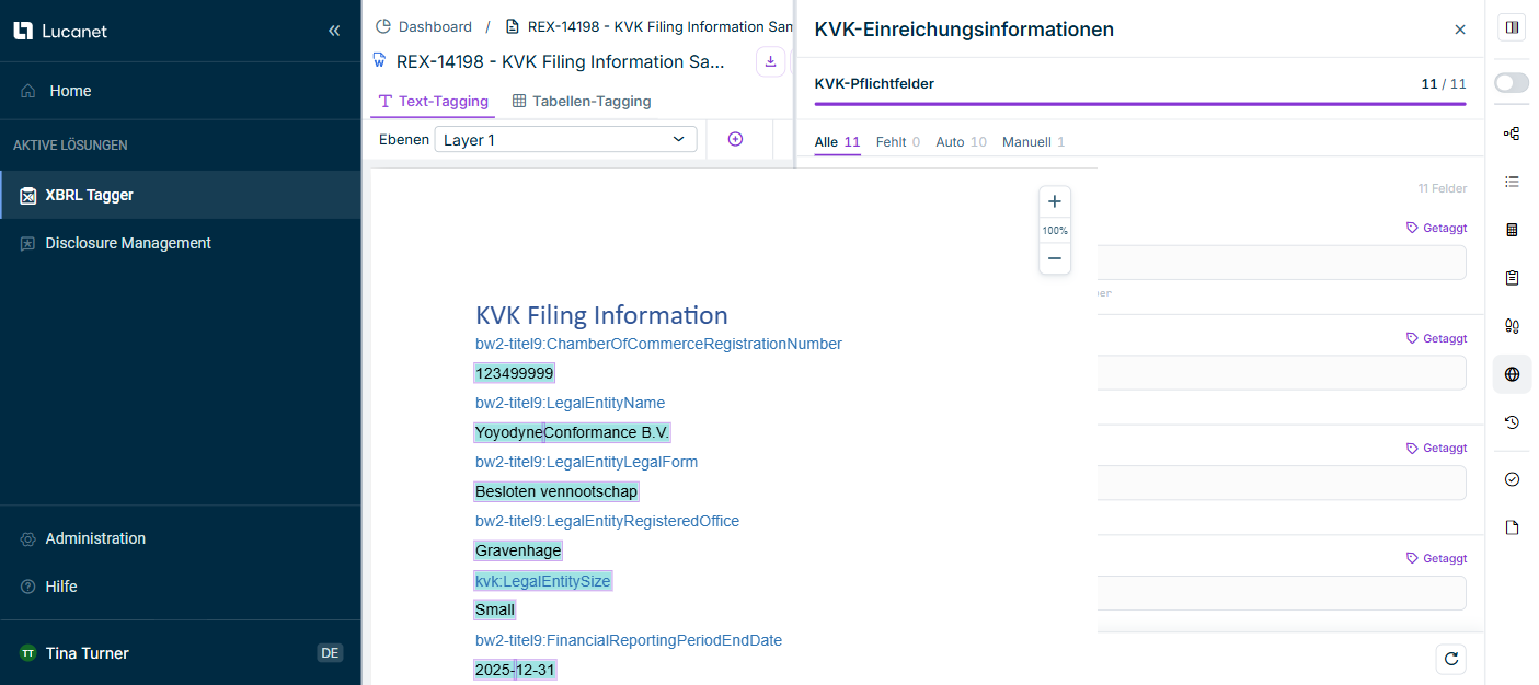 KVK Filing Information panel in the XBRL Tagger