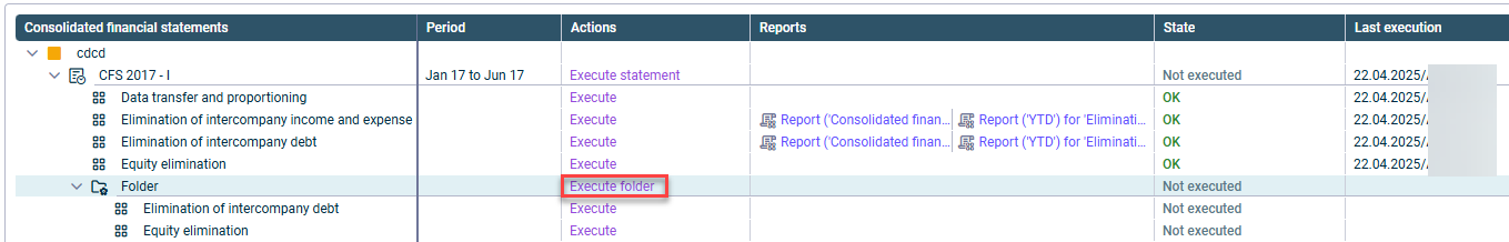 Shows the overview table in the 'Consolidated financial statements' workspace. The option 'Execute folder' is marked