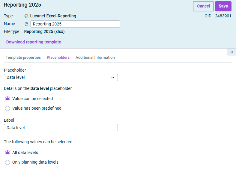 Displays the ‘Placeholder’ tab in the detailed view of a report template. The placeholder for a data level is selected and the corresponding options are visible.