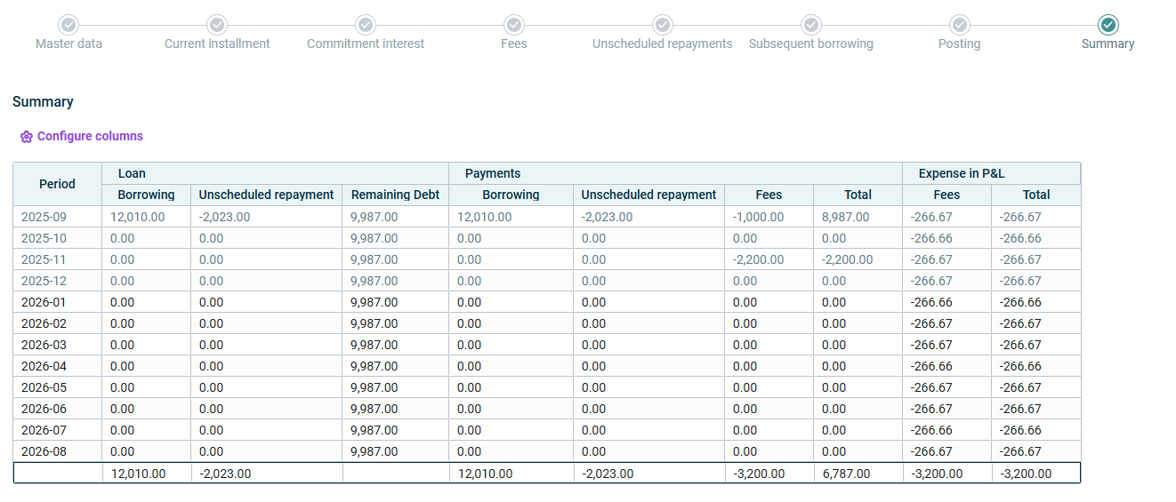 The summary of a loan is displayed.