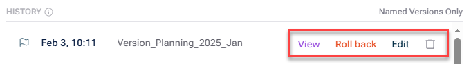 Shows the options you have for a named version when you hover over the row of the version in the version history.