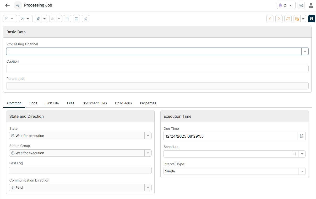 The configuration options of a processing job are displayed.