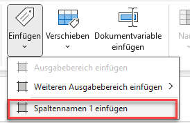 Zeigt das geöffnete Menü der Schaltfläche 'Einfügen' im Excel-Ribbon für Disclosure Management mit den Einträgen 'Ausgabebereich einfügen', 'Weiteren Ausgabebereich einfügen' und 'Spaltennamen 1 einfügen'. Rot markiert ist 'Spaltennamen 1 einfügen'.